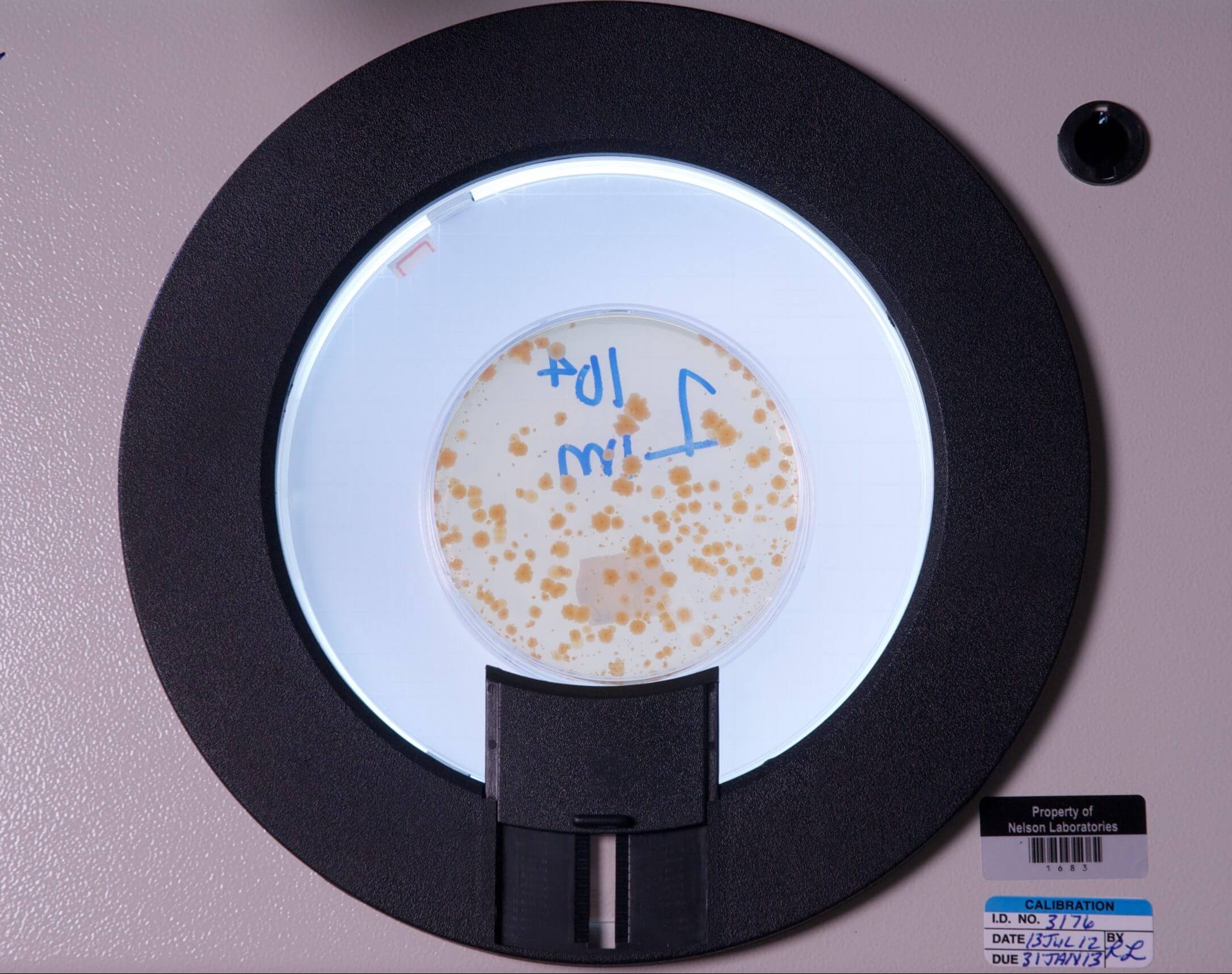 ames and genotoxicity test