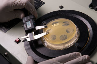 Antibiotic Potency Test