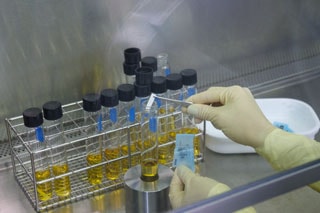 Biological Indicators (BIs) Sterility Test  Nelson Labs