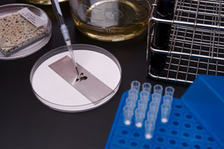Disinfectant Test in action