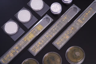 Environmental Monitoring