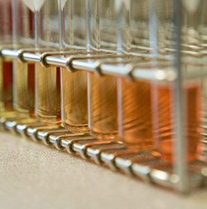 Hemocompatibility Test