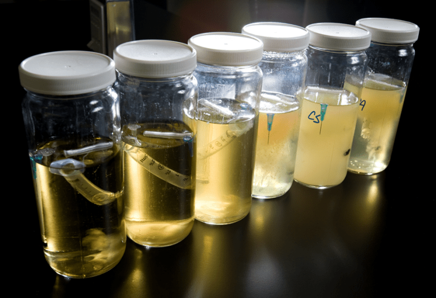 Jars of