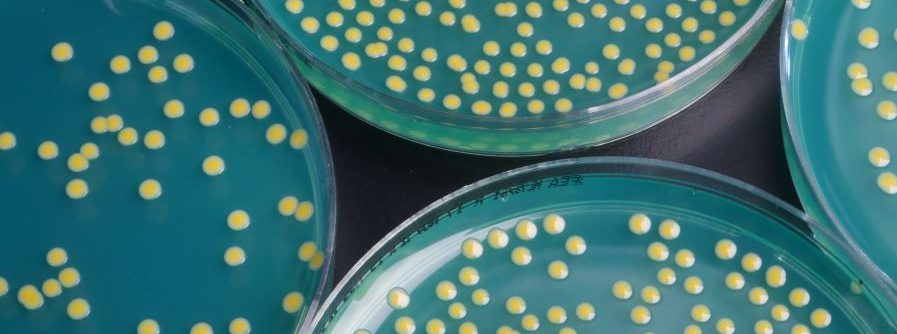 Microbiology visual data 7