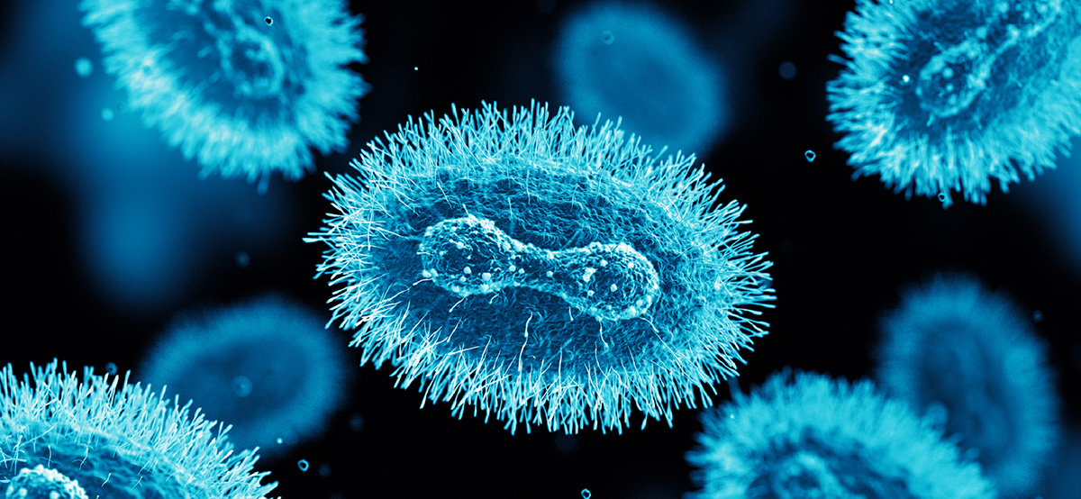 virology-overview