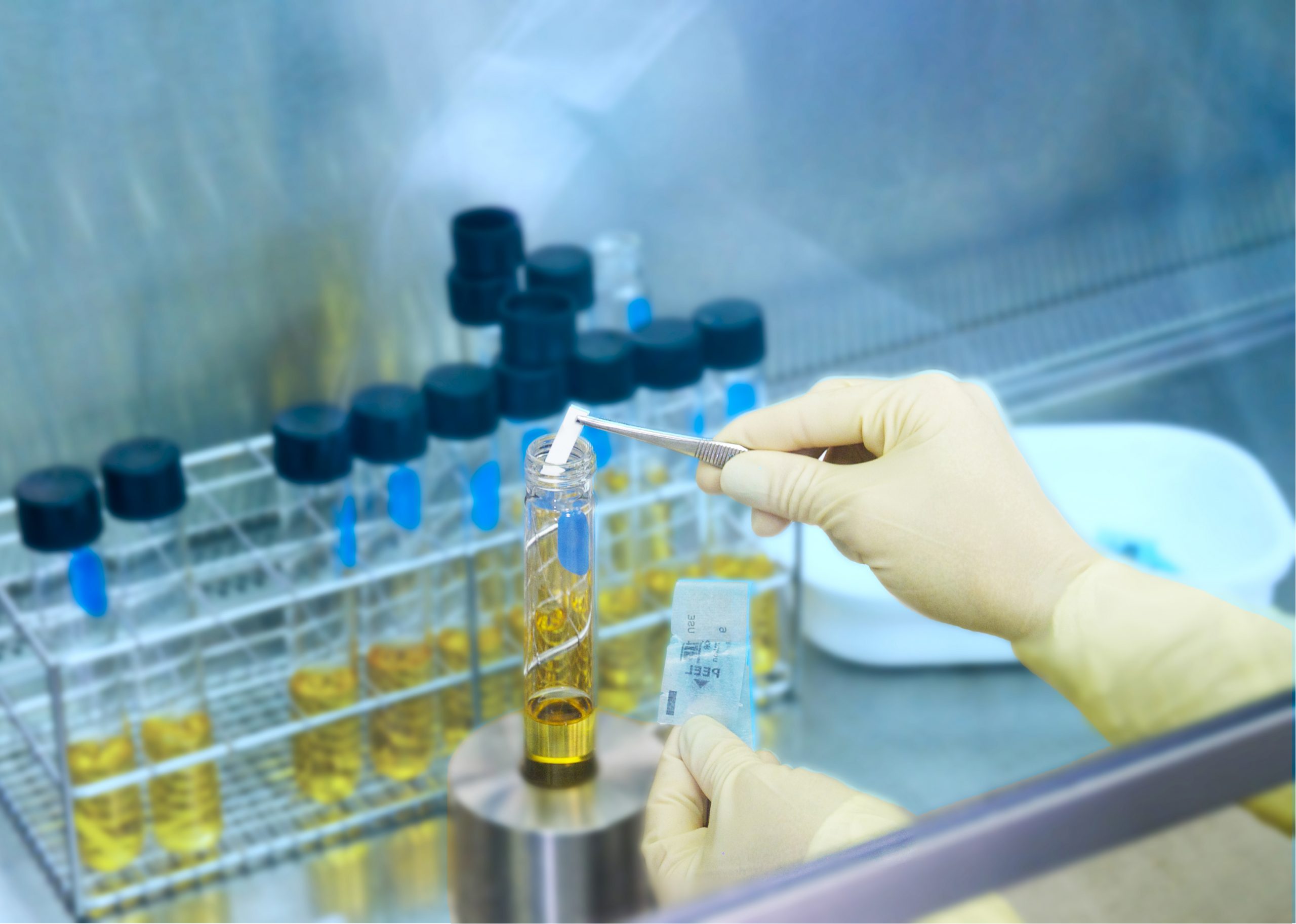 A close-up view of a lab technician wearing pale gloves inside a laboratory fume hood or biosafety cabinet. Using small metal forceps, they carefully insert a paper indicator or test strip into a glass test tube containing a yellowish liquid, while a metal wire rack filled with similar capped tubes sits in the background.
