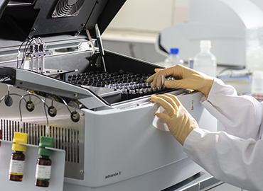 Rapid Sterility